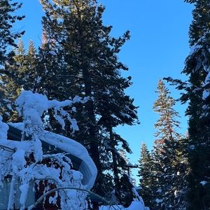 Meet your Posher, Michela